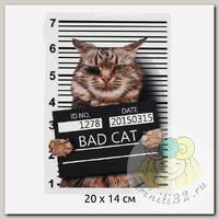 Термотрансфер арт.TBY.1320 Bad Cat 20х14см, уп.10шт