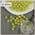 Бусины MAGIC 4 HOBBY круглые перламутр 10мм цв.017 салатовый уп.500г (960шт)