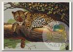 Набор для вышивания мулине НИТЕКС арт.А-0036 Леопард 43х31 см